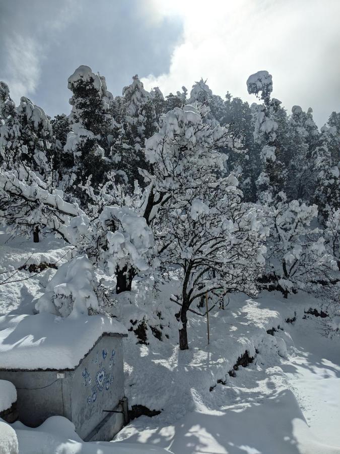 Namastay Himalayas, Kanatal Esterno foto