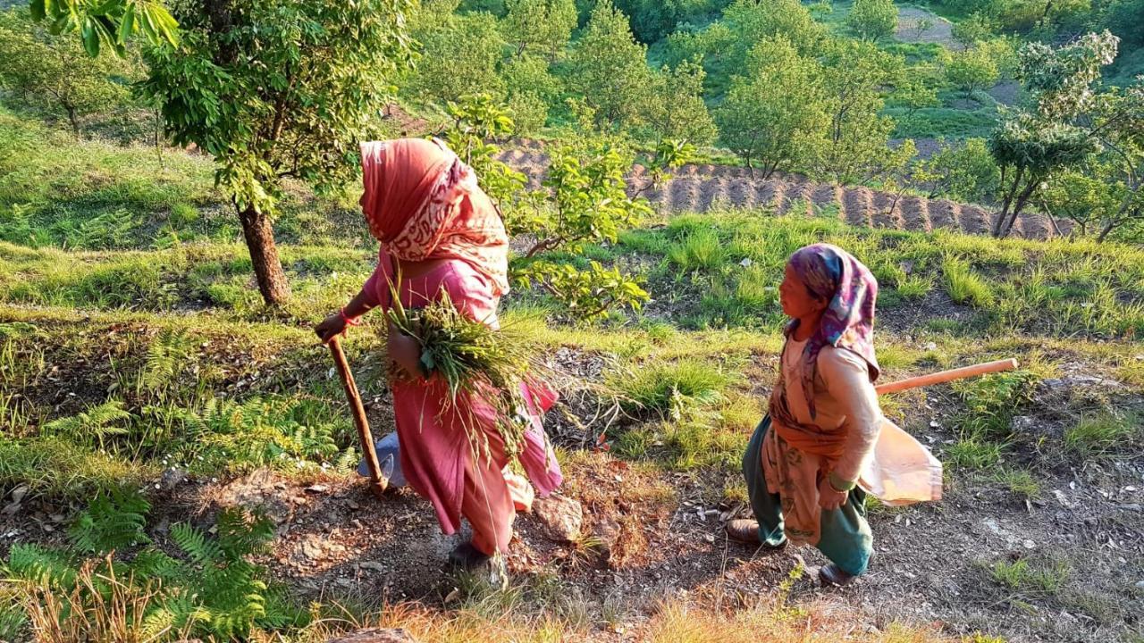 Namastay Himalayas, Kanatal Esterno foto