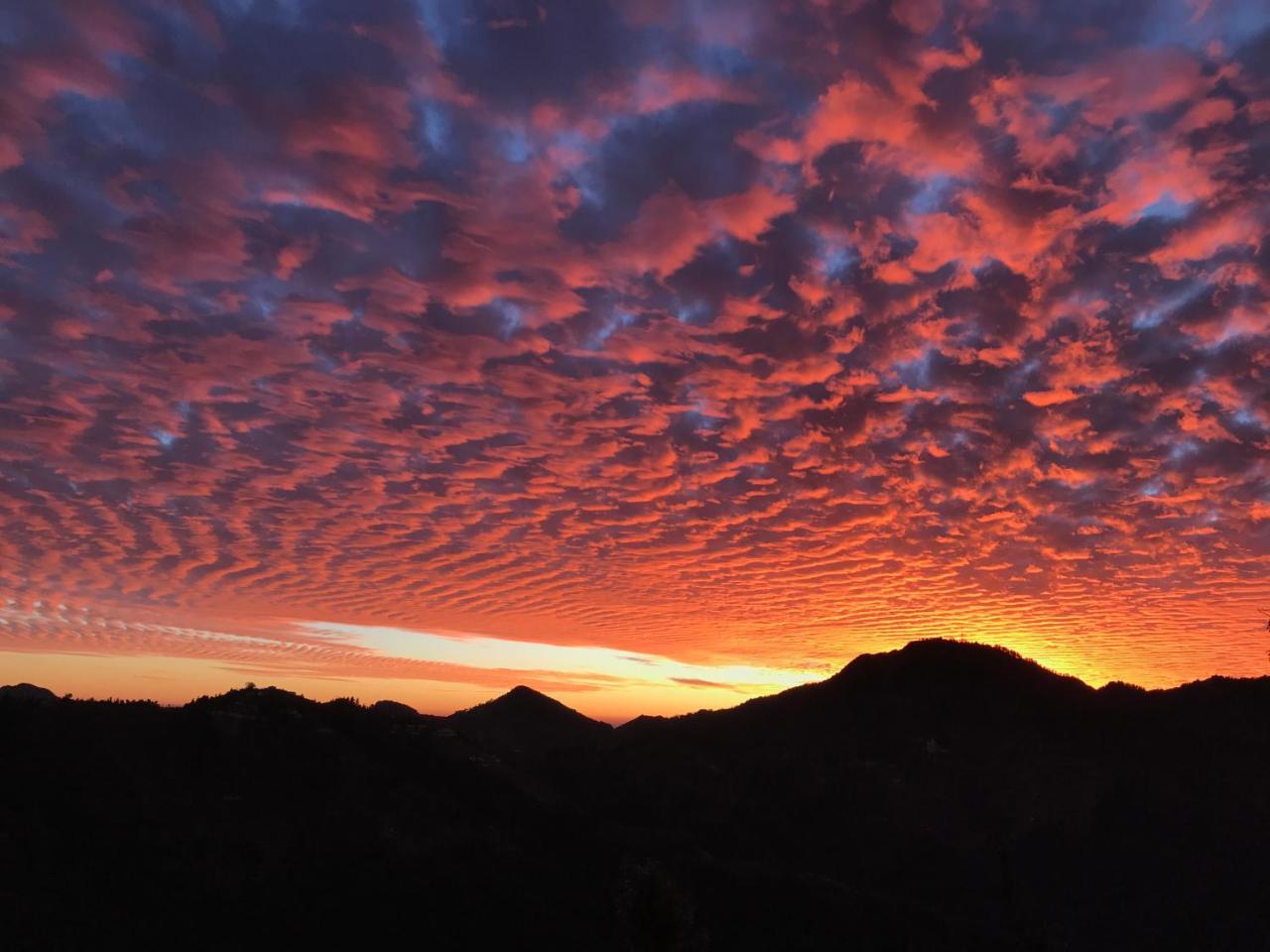 Namastay Himalayas, Kanatal Esterno foto